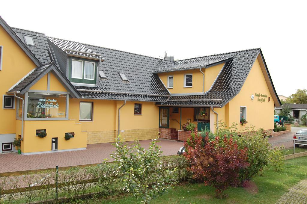 Pension Buchfink Ückeritz Buitenkant foto